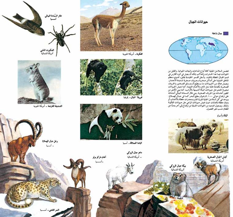 من الحيوانات التي تعيش في الإقليم المداري الموسمي: