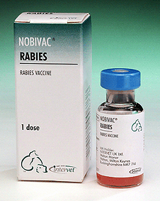 Biofal Rabies Rabies HS at emaze Presentation