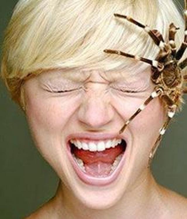 Аранфа фобия. Аранфа фобия. Как называются люди которые боятся пауков. Как называются люди которые боятся пауков. Армянофобия.