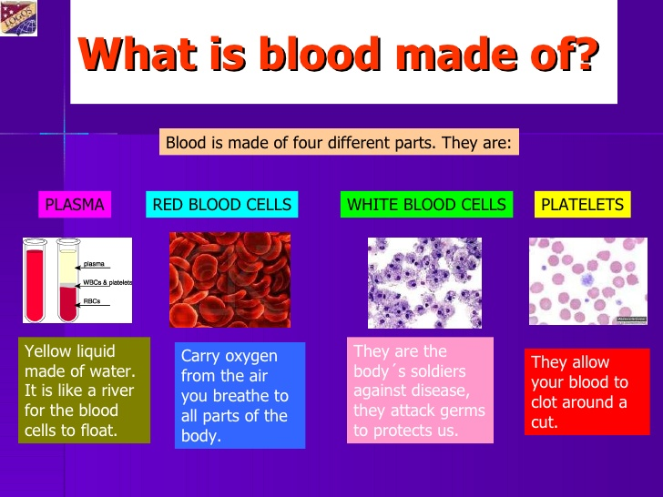 Plasma is Blood. Functions of Blood. The function of White Blood Cells.