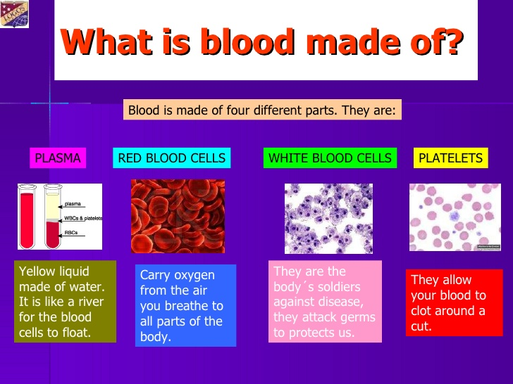 Is made up. What Blood is made of. Plasma is Blood. Functions of Blood.