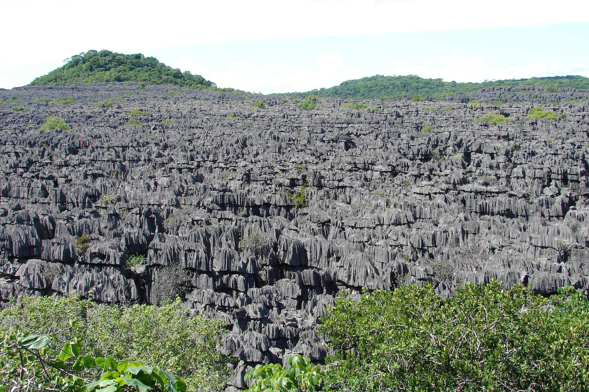 Madagascar brazil. Цинги-де-Бемараха каменный лес на Мадагаскаре. Заповедник цинги-де-Бемараха. Каменный лес» цинги-де-Бемараха. Цинжи-дю-Бемараха Мадагаскар.