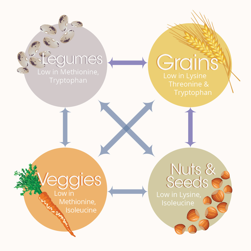 Protein at emaze Presentation