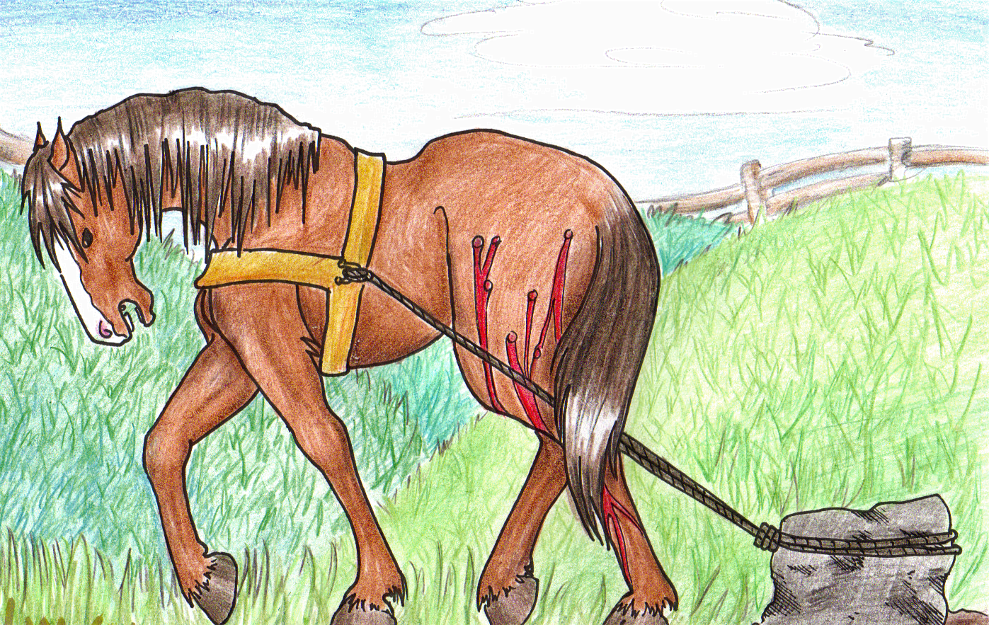 animal essay farm animal essay farm