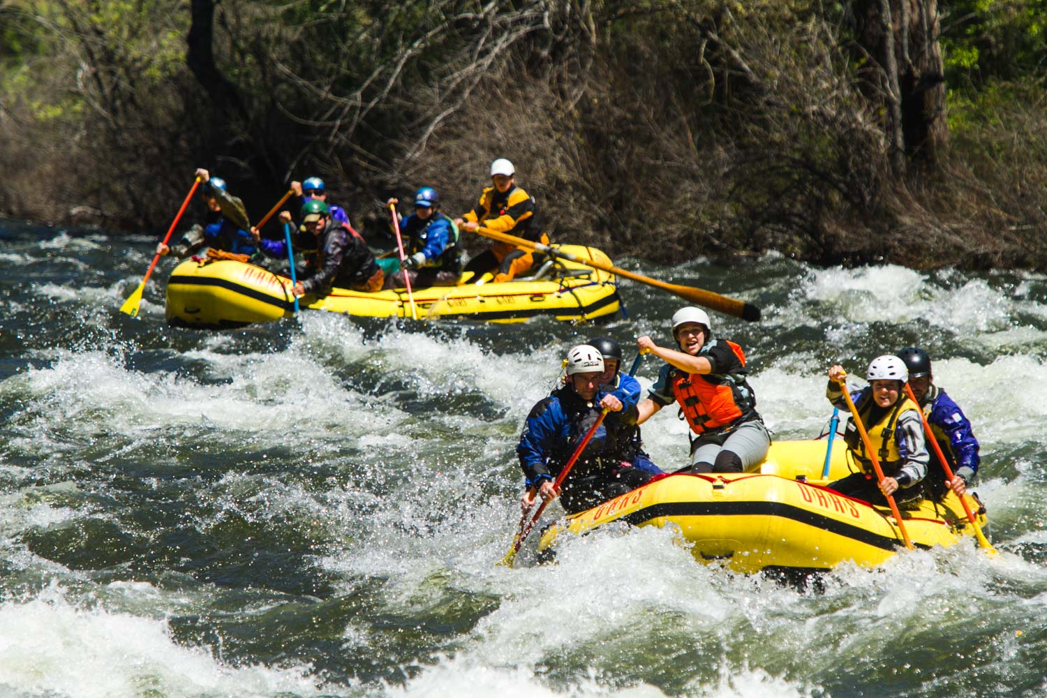 Rafting the Martha Brae River