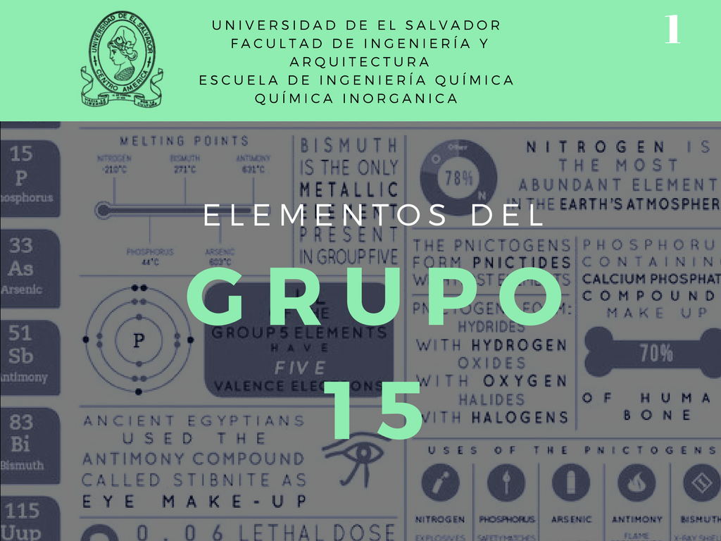 Grupo 15 - 