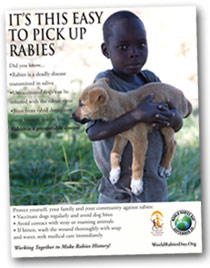 Problem Child Rabies Rabies Virus on emaze