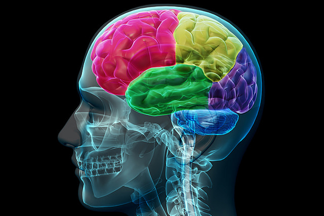 neurosurgeon-on-emaze