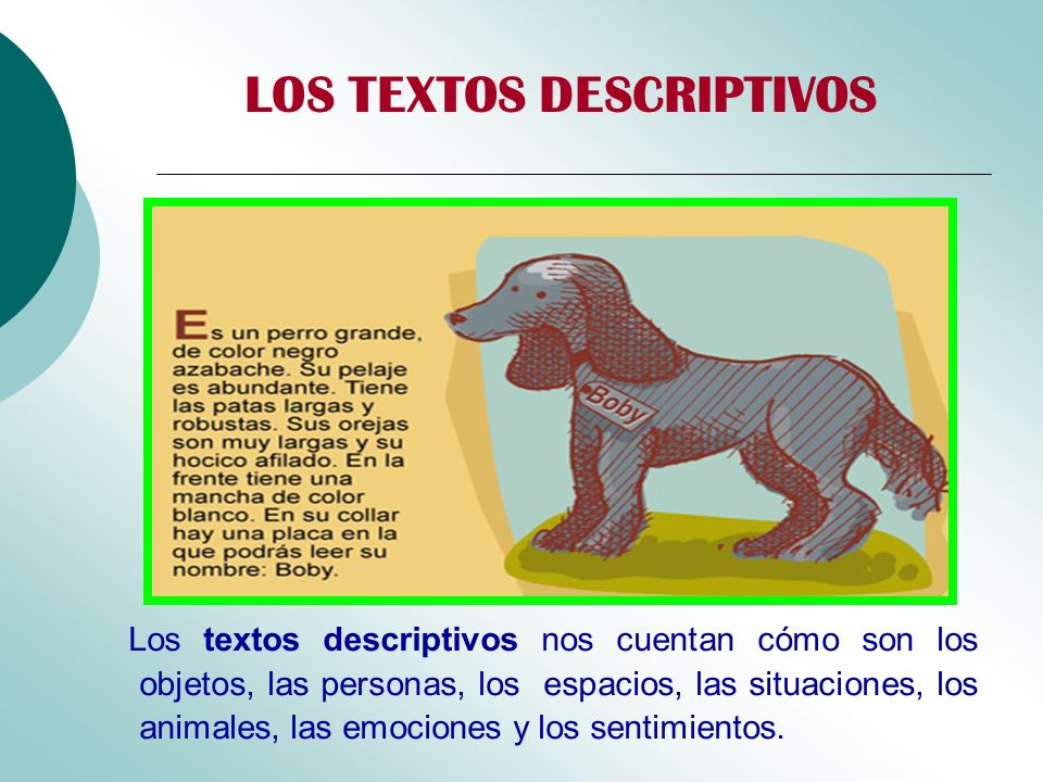 Ejemplo De Texto Descriptivo Corto Para Ninos De Primaria Hay Ninos Images