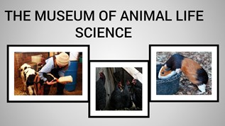 animal life science at emaze Presentation