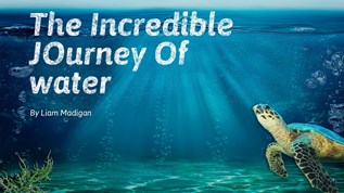 The Incredible Journey of water at emaze Presentation