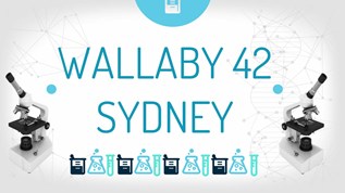 Wallaby 42 Sydney at emaze Presentation