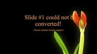 Celebrations At Emaze Presentation