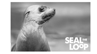 Seal The Loop at emaze Presentation