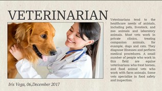 Vet At Emaze Presentation