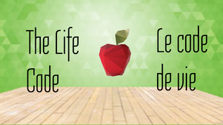 lifecode at emaze Presentation