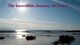The Incredible Journey Of Water at emaze Presentation
