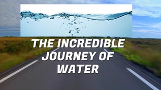 The incredible journey of water at emaze Presentation