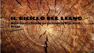 IL RICICLO DEL LEGNO at emaze Presentation