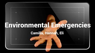 Environmental Emergencies at emaze Presentation