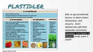 Plastidler at emaze Presentation
