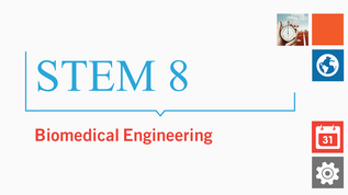 Stem 8 at emaze Presentation