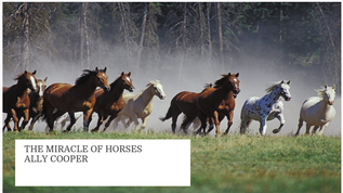 The Miracle of Horses at emaze Presentation