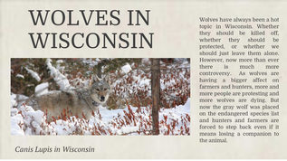 Wolves in Wisconsin at emaze Presentation