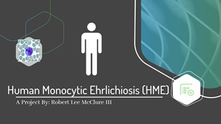 HME at emaze Presentation