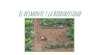 desmonte at emaze Presentation