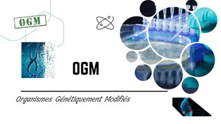 OGM at emaze Presentation