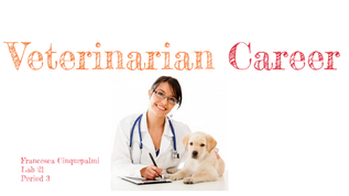 Vet Presentation At Emaze Presentation