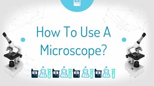 How TO Use A Microscope? at emaze Presentation
