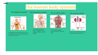 The three vital functions at emaze Presentation