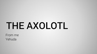 axolotl at emaze Presentation
