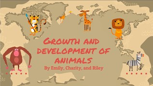 animal development at emaze Presentation