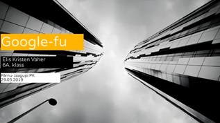 WHAT DOES GOOGLE FU MEAN DUPLICATE visual data 8