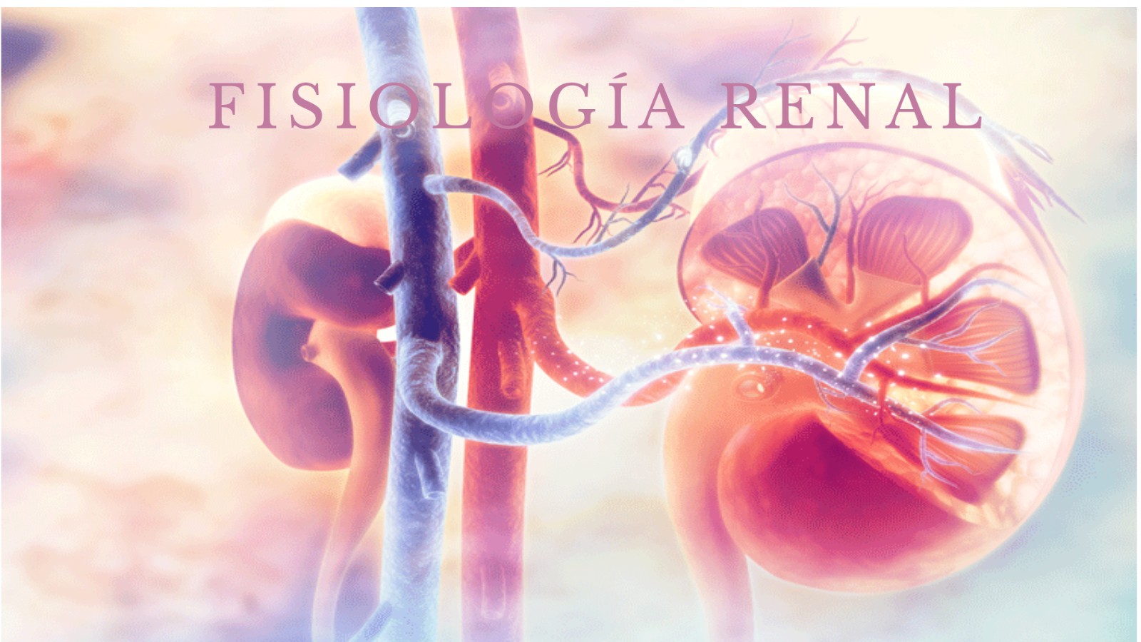 fisiología renal at emaze Presentation