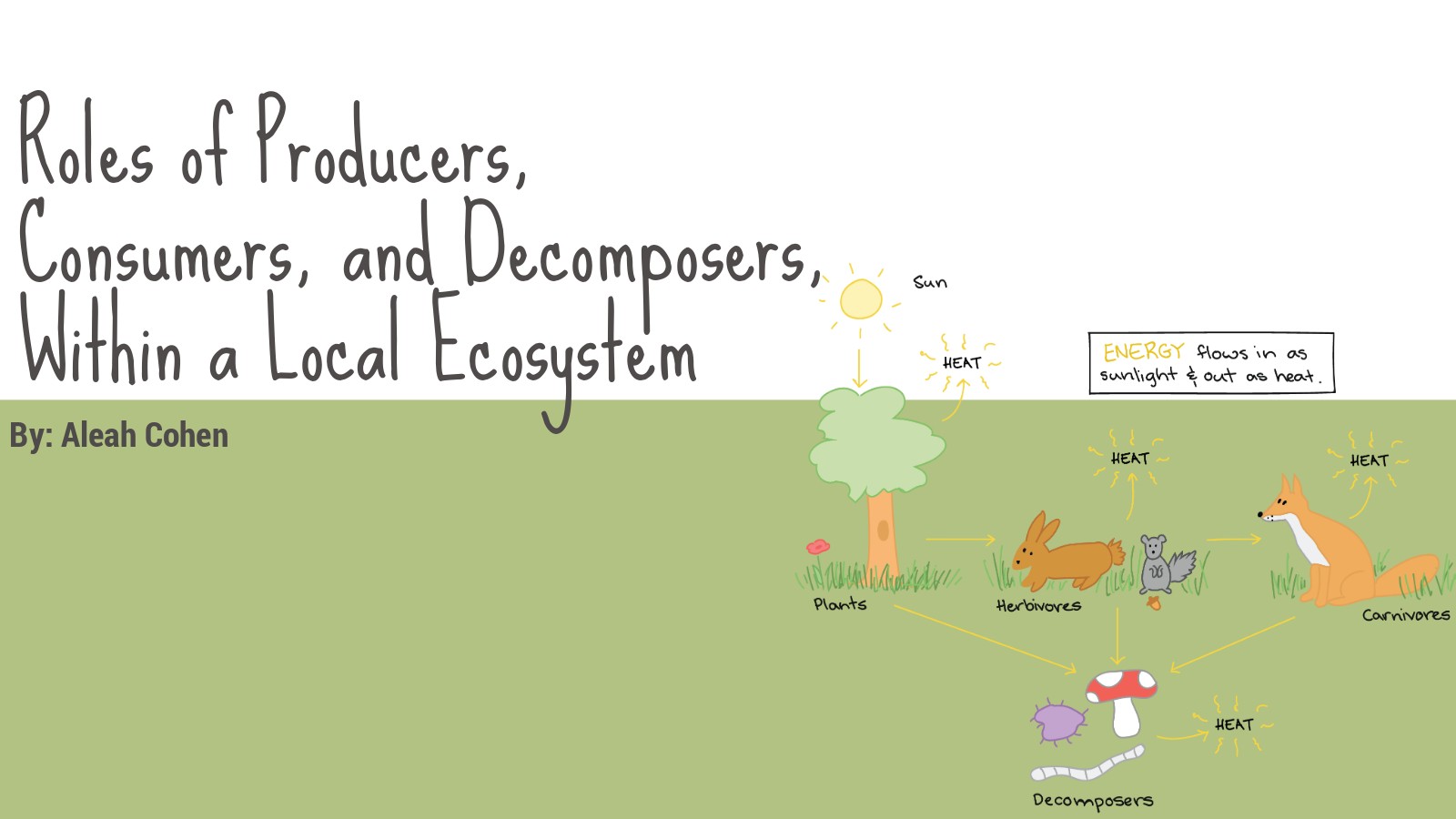 Roles of Producers, Consumers, and Within a at emaze