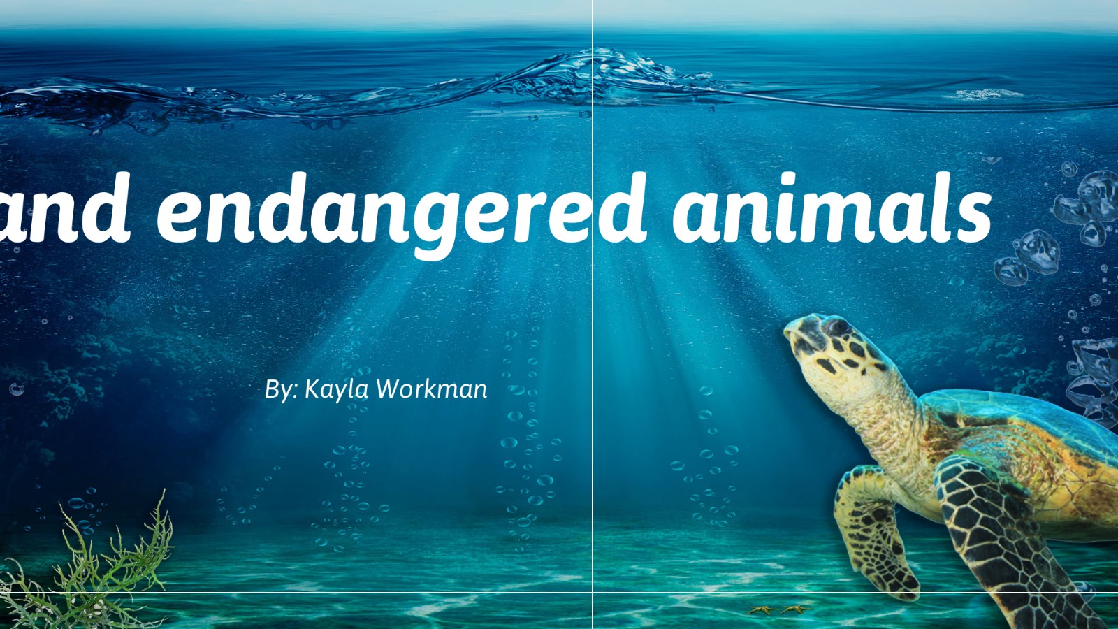 how do zoos help endangered animals essay