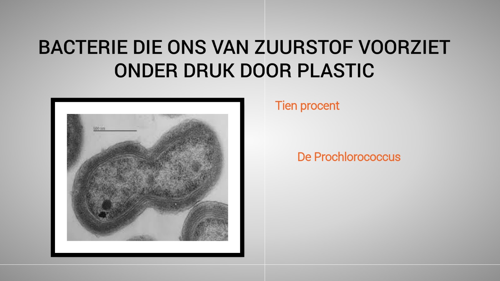 Bacterie at emaze Presentation