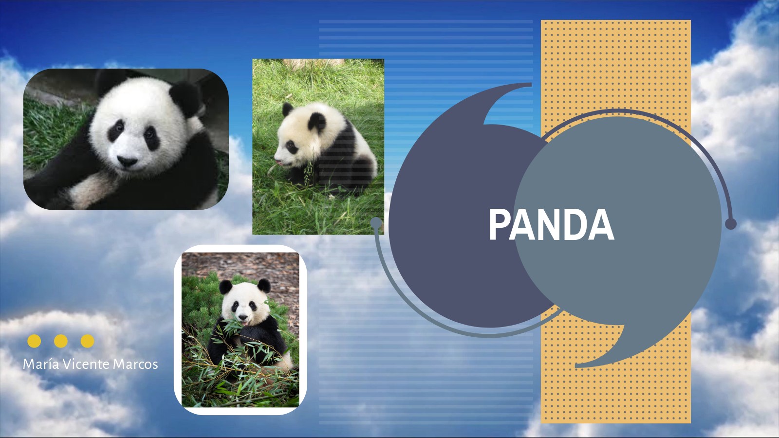 How Much Does A Panda Weigh At Birth