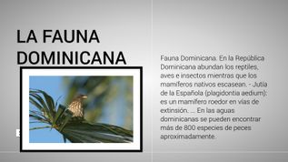 la fauna dominicana at emaze Presentation