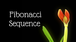 Fibonacci Sequence at emaze Presentation