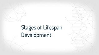 Health Human development stages.pptx at emaze Presentation