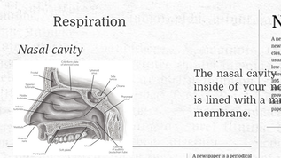 Presentation Name at emaze Presentation