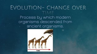 Notes Evolution NEW1.pptx at emaze Presentation