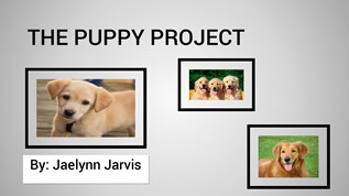puppy project at emaze Presentation