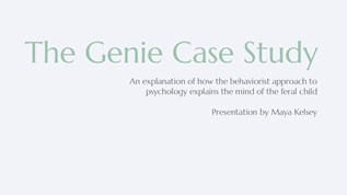 little genie case study