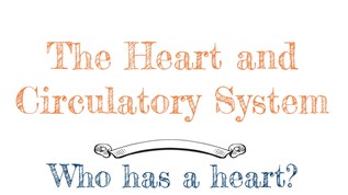 Circulatory System Kindergarten At Emaze Presentation